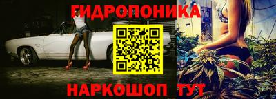 круглые Будённовск